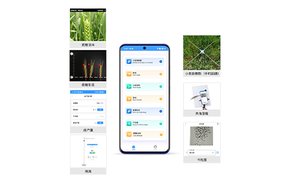 抚州市小麦表型检测仪IN-XM04